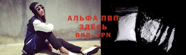 ПСИЛОЦИБИНОВЫЕ ГРИБЫ Балабаново