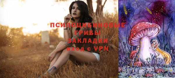 ПСИЛОЦИБИНОВЫЕ ГРИБЫ Балабаново