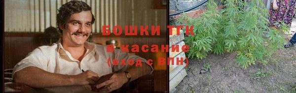 ПСИЛОЦИБИНОВЫЕ ГРИБЫ Балабаново